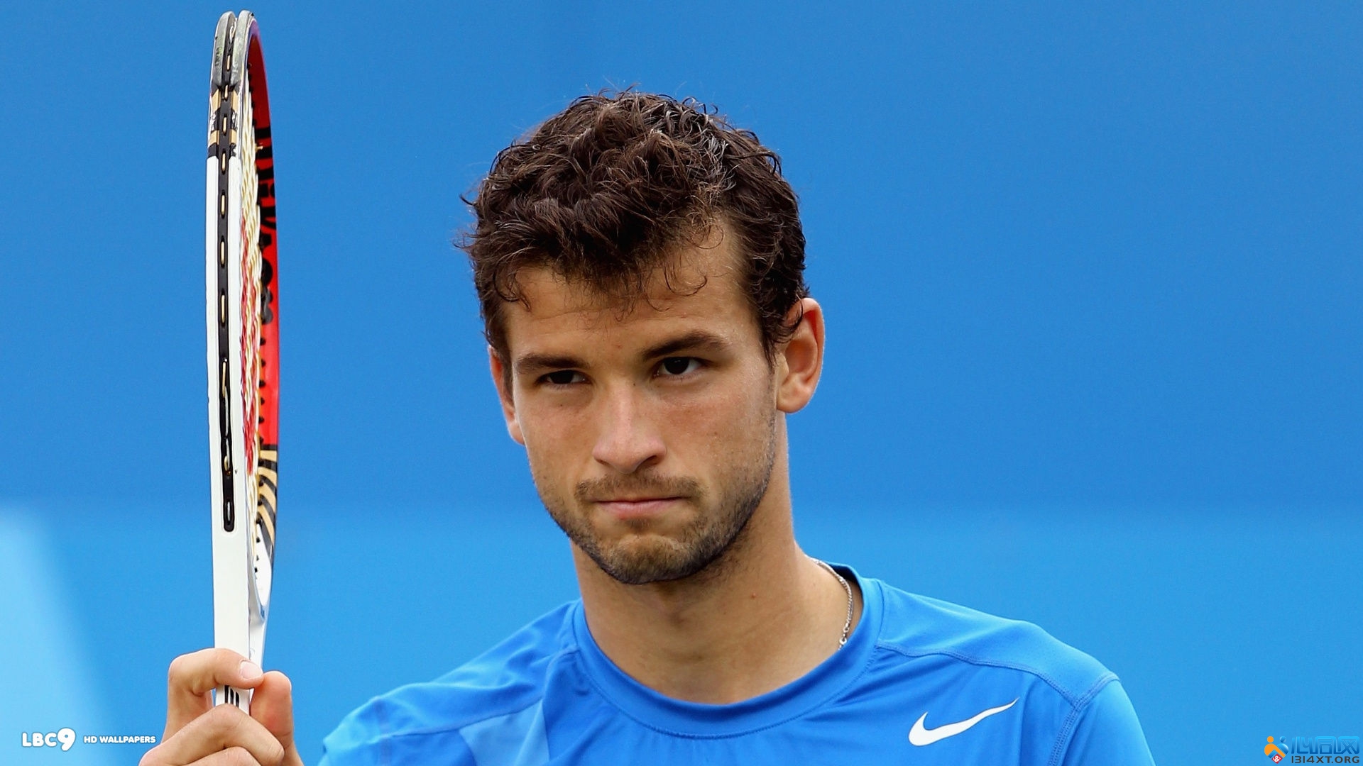 本次沙特豪 本次沙特豪